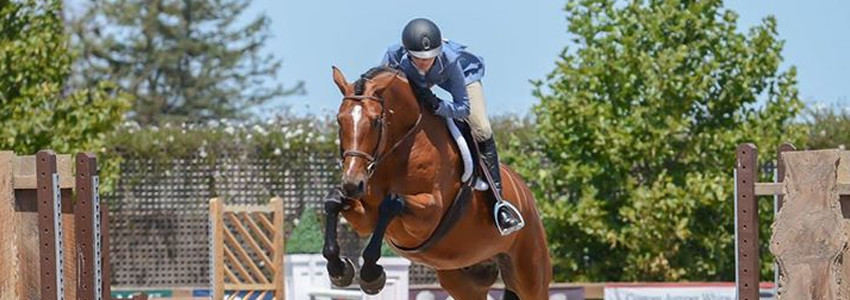 Read more about the article Great start to SHP Equestrian Classic